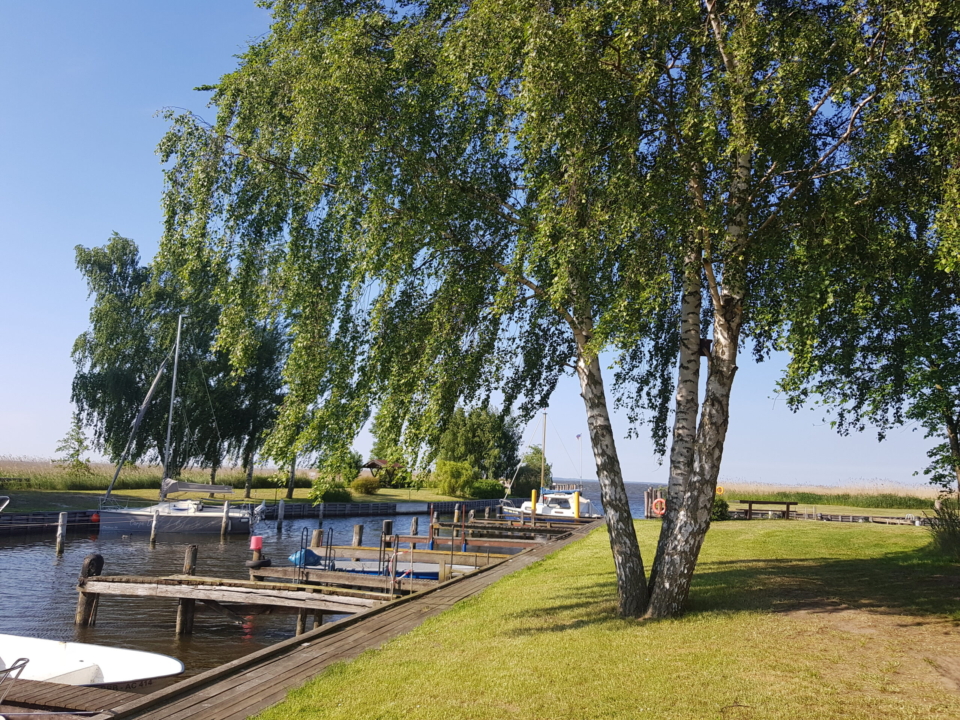 Vereinshafen