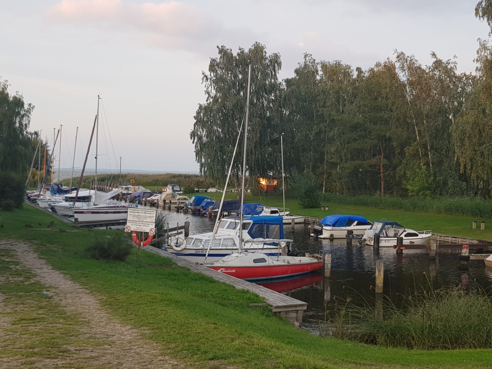 Vereinshafen voller Boote